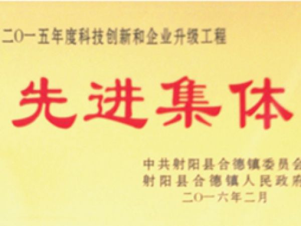 Qualification and Honor